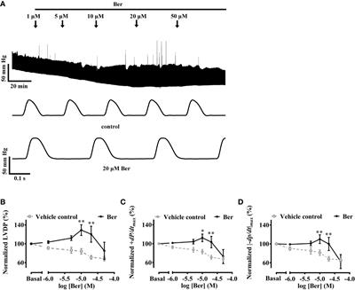 Berberine Mediated Positive Inotropic Effects on Rat Hearts via a Ca2+-Dependent Mechanism